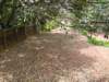 roadonthewestsideofthethrikkunnathuchurch_small.jpg