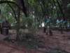 surroundingsofthethrikkunnathpally_small.jpg